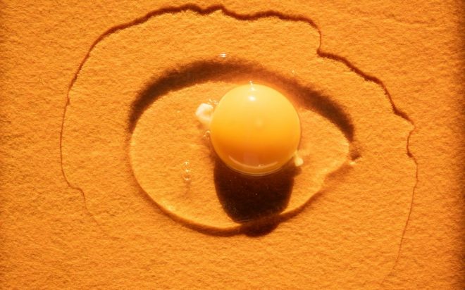 Lecytyna rzepakowa – jaki wpływ na zdrowie mają dodatki do żywności?